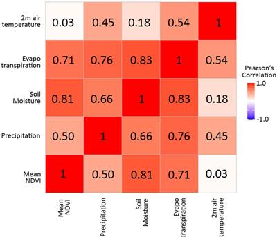 Appraisal of long-term responsiveness of normalized difference vegetation index to climatic factors using multiscale time–frequency decomposition in an arid environment